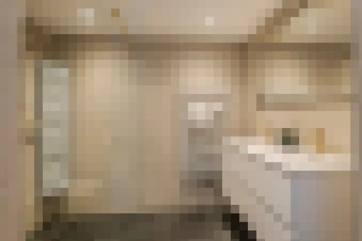 Windvaan 20 Geldermalsen thumbnail 21