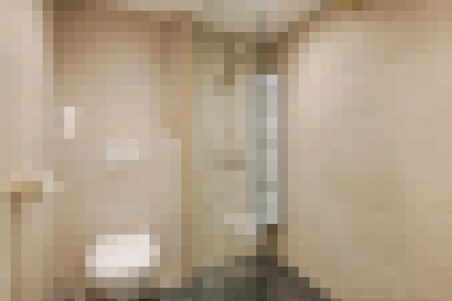 Windvaan 20 Geldermalsen thumbnail 22