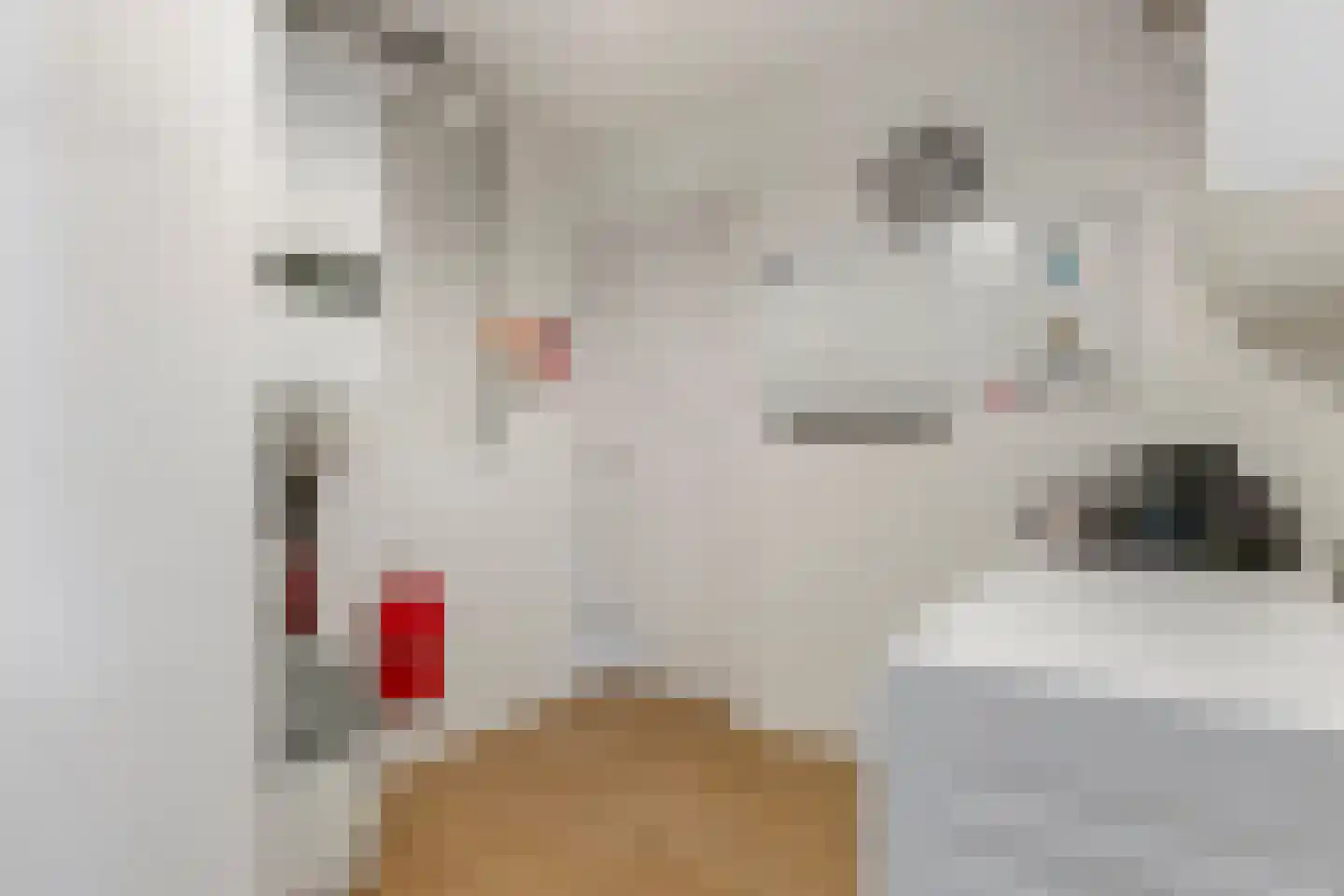 Windvaan 20 Geldermalsen thumbnail 24