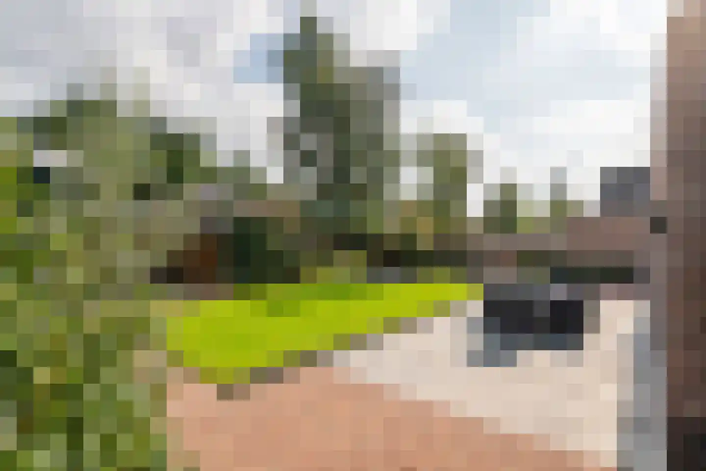 Windvaan 20 Geldermalsen foto 3