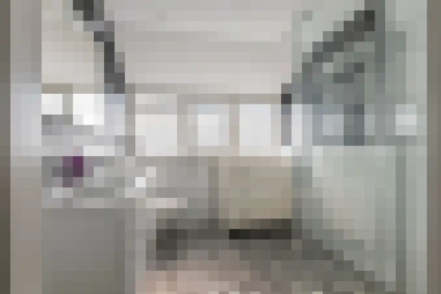 Windvaan 20 Geldermalsen thumbnail 33