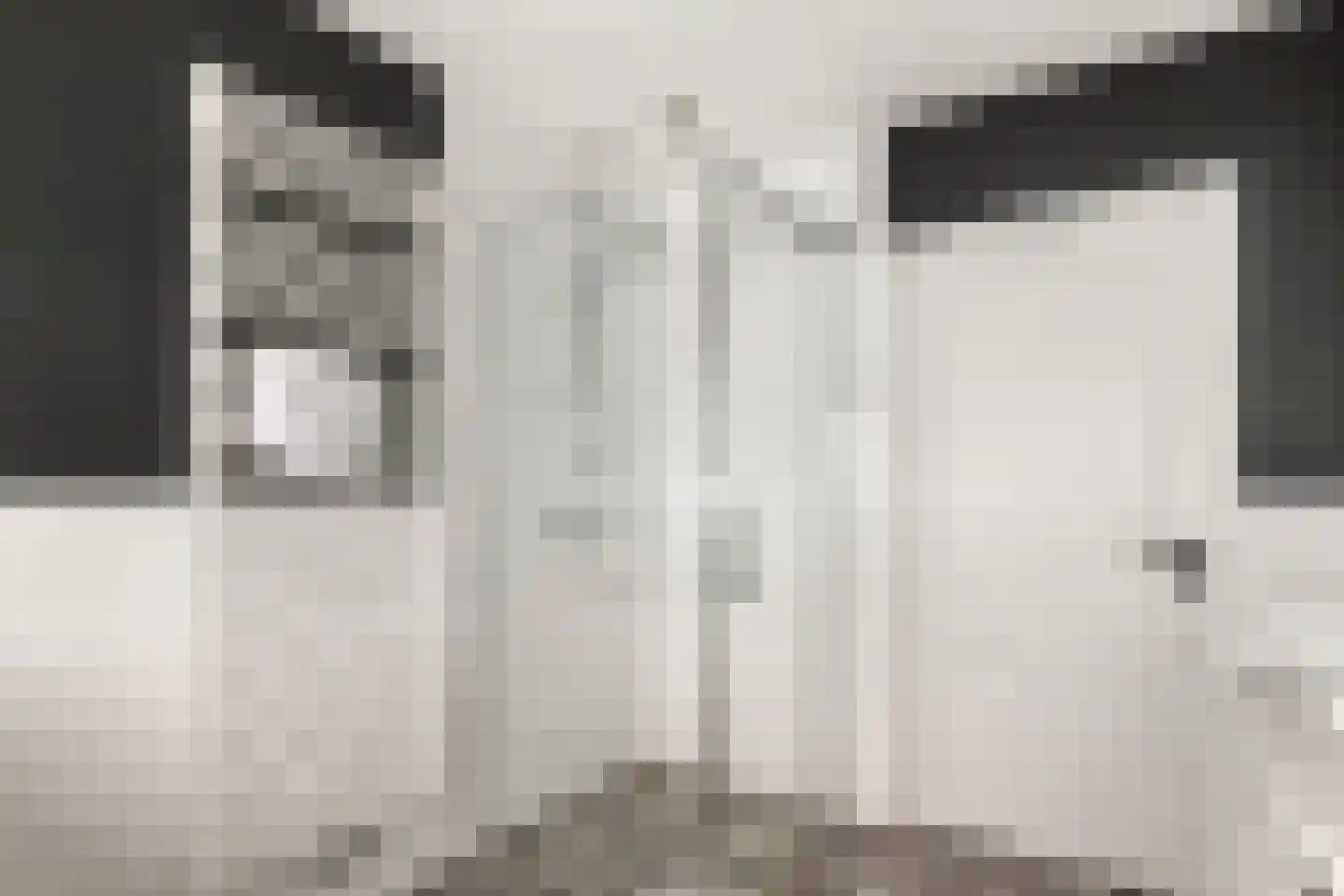 Windvaan 20 Geldermalsen thumbnail 34