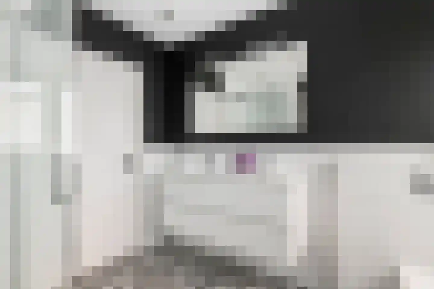 Windvaan 20 Geldermalsen thumbnail 35