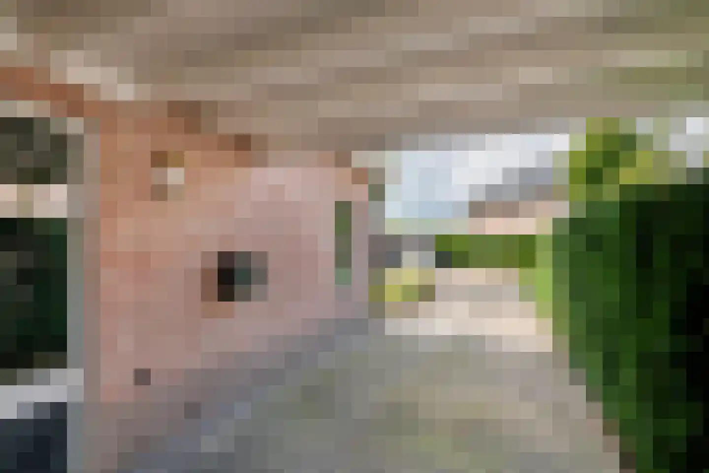 Windvaan 20 Geldermalsen thumbnail 36