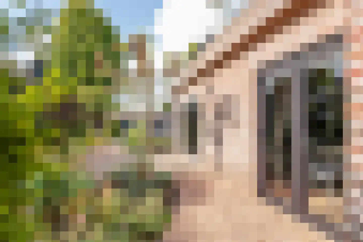 Windvaan 20 Geldermalsen thumbnail 37