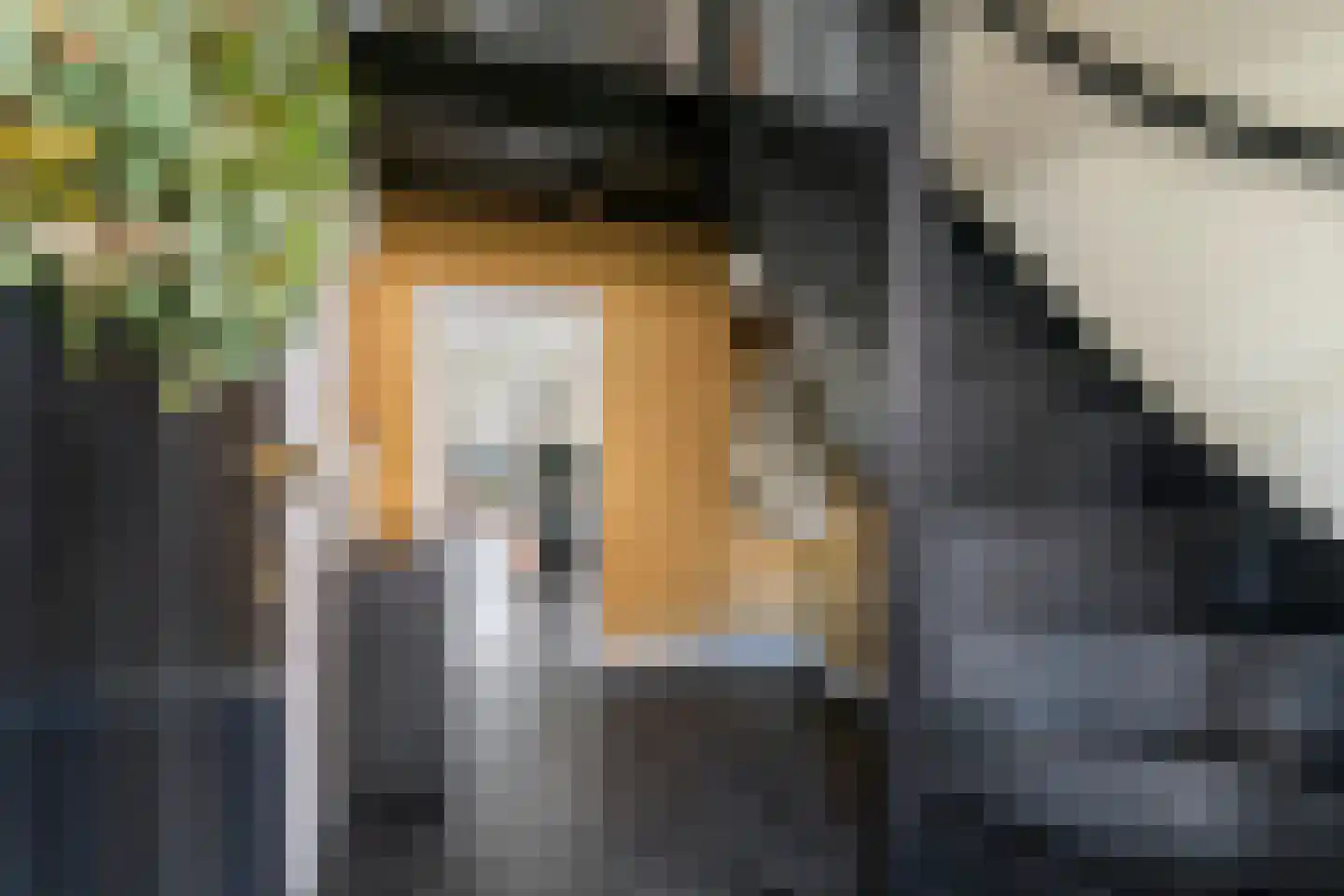 Windvaan 20 Geldermalsen thumbnail 4