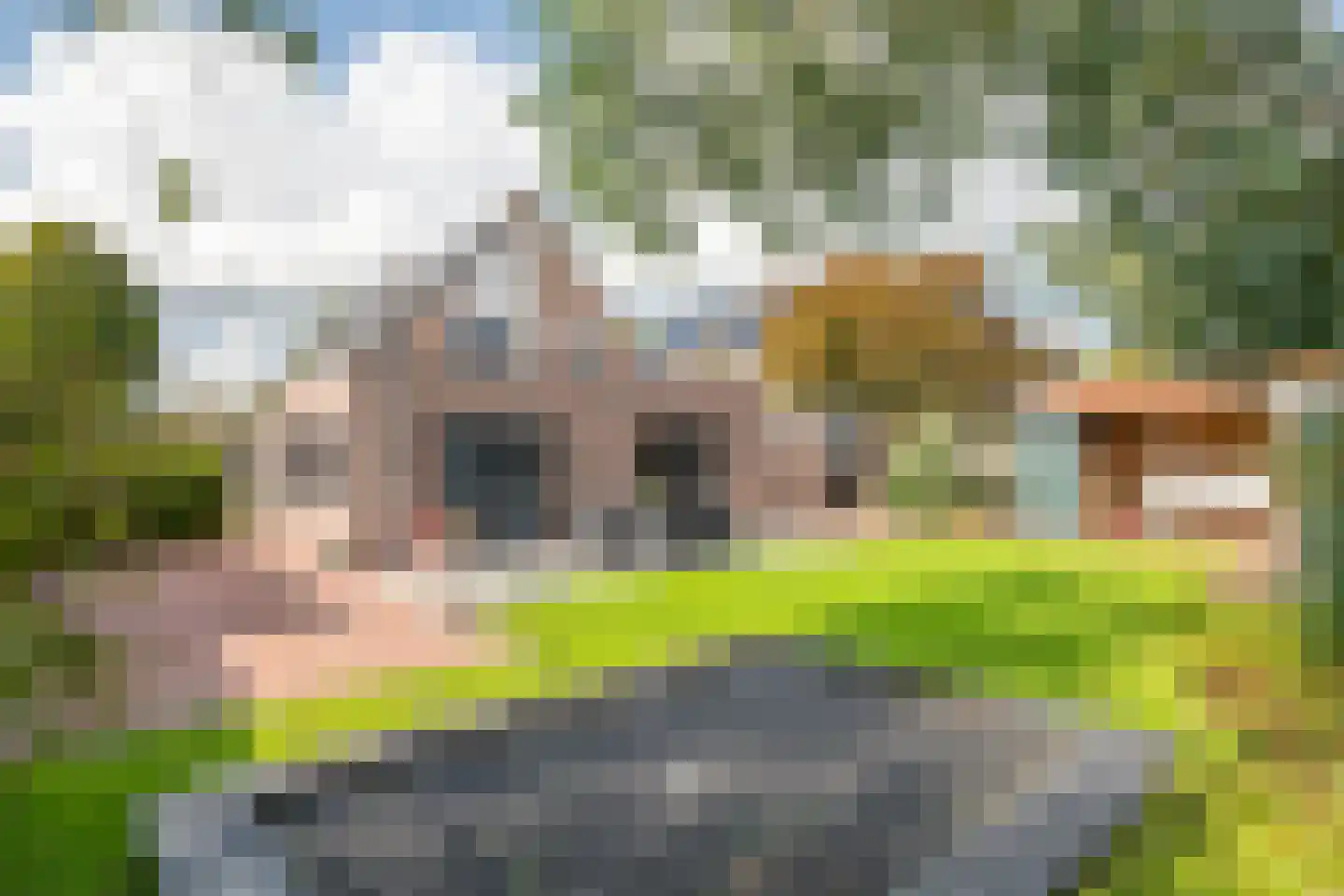 Windvaan 20 Geldermalsen thumbnail 41
