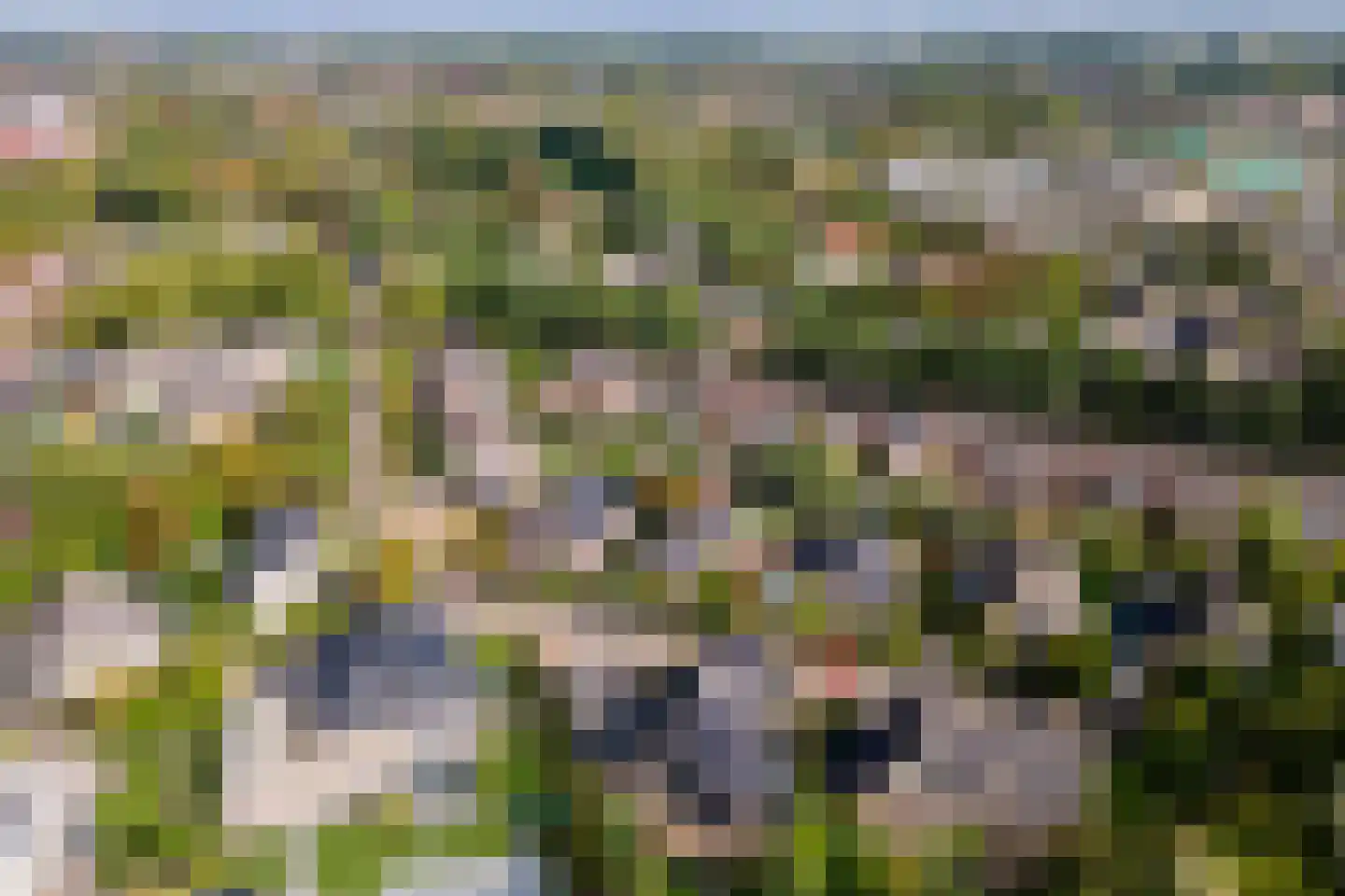 Windvaan 20 Geldermalsen thumbnail 43