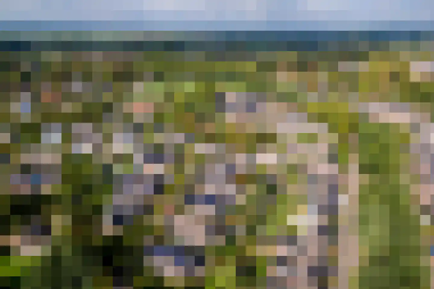 Windvaan 20 Geldermalsen thumbnail 44