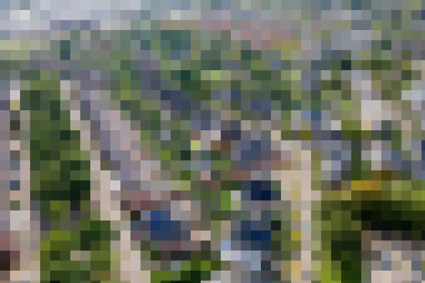 Windvaan 20 Geldermalsen thumbnail 45