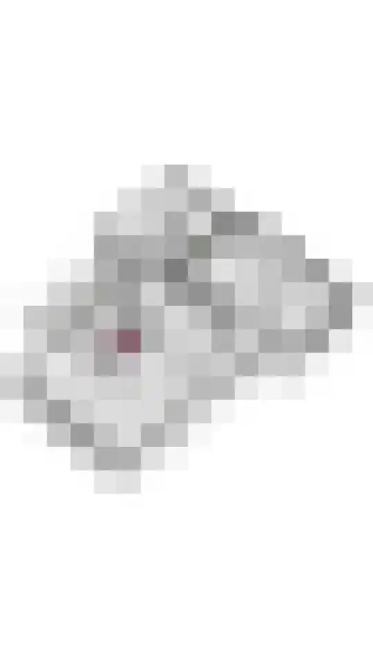 Windvaan 20 Geldermalsen thumbnail 50