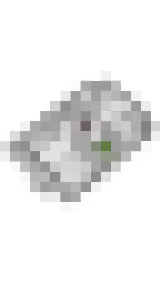 Windvaan 20 Geldermalsen thumbnail 52
