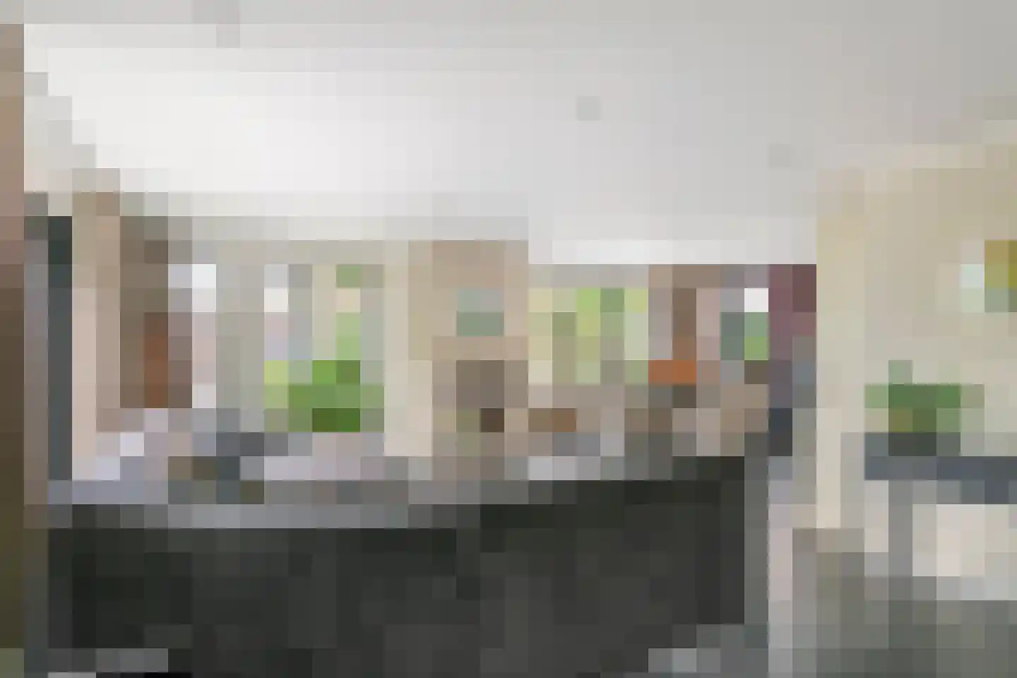 Windvaan 20 Geldermalsen thumbnail 6