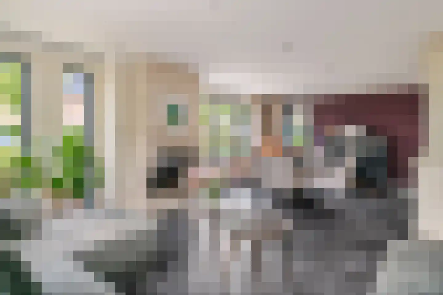 Windvaan 20 Geldermalsen thumbnail 7