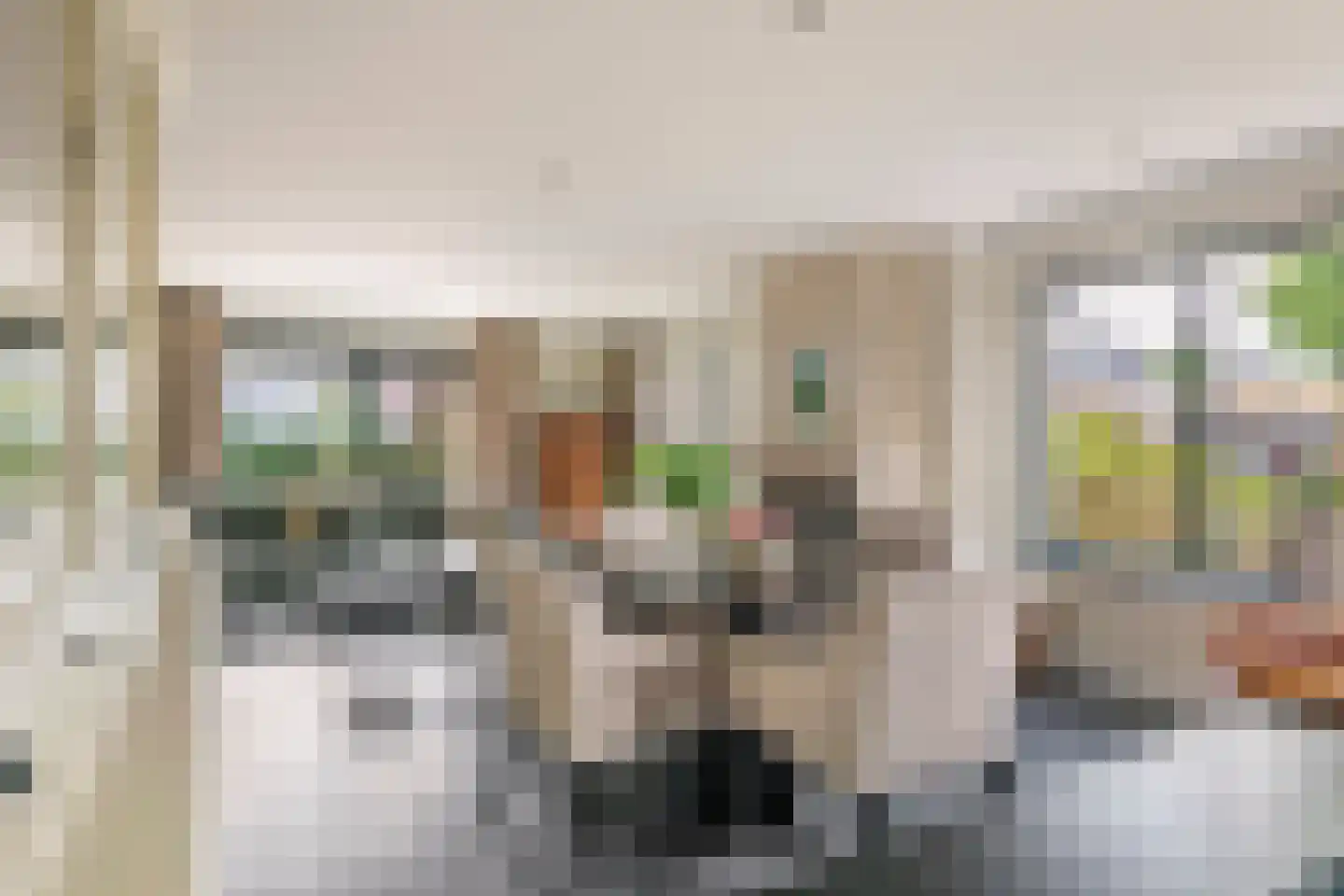 Windvaan 20 Geldermalsen thumbnail 8