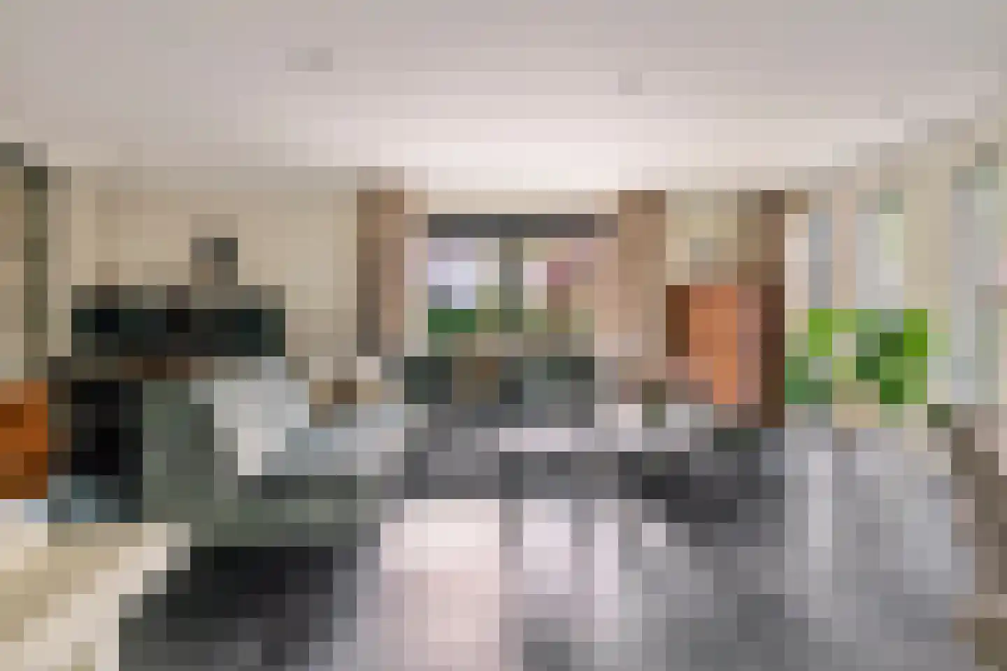 Windvaan 20 Geldermalsen thumbnail 9