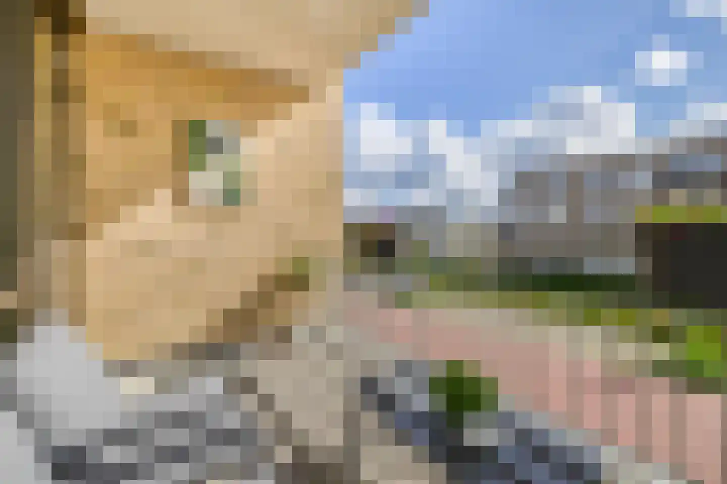 Windvaan 3 Moerkapelle thumbnail 12