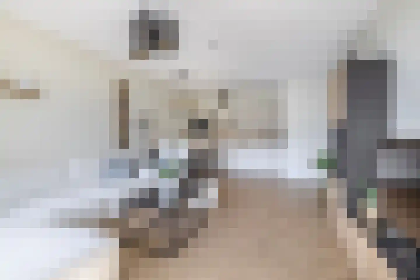 Windvaan 3 Moerkapelle thumbnail 15