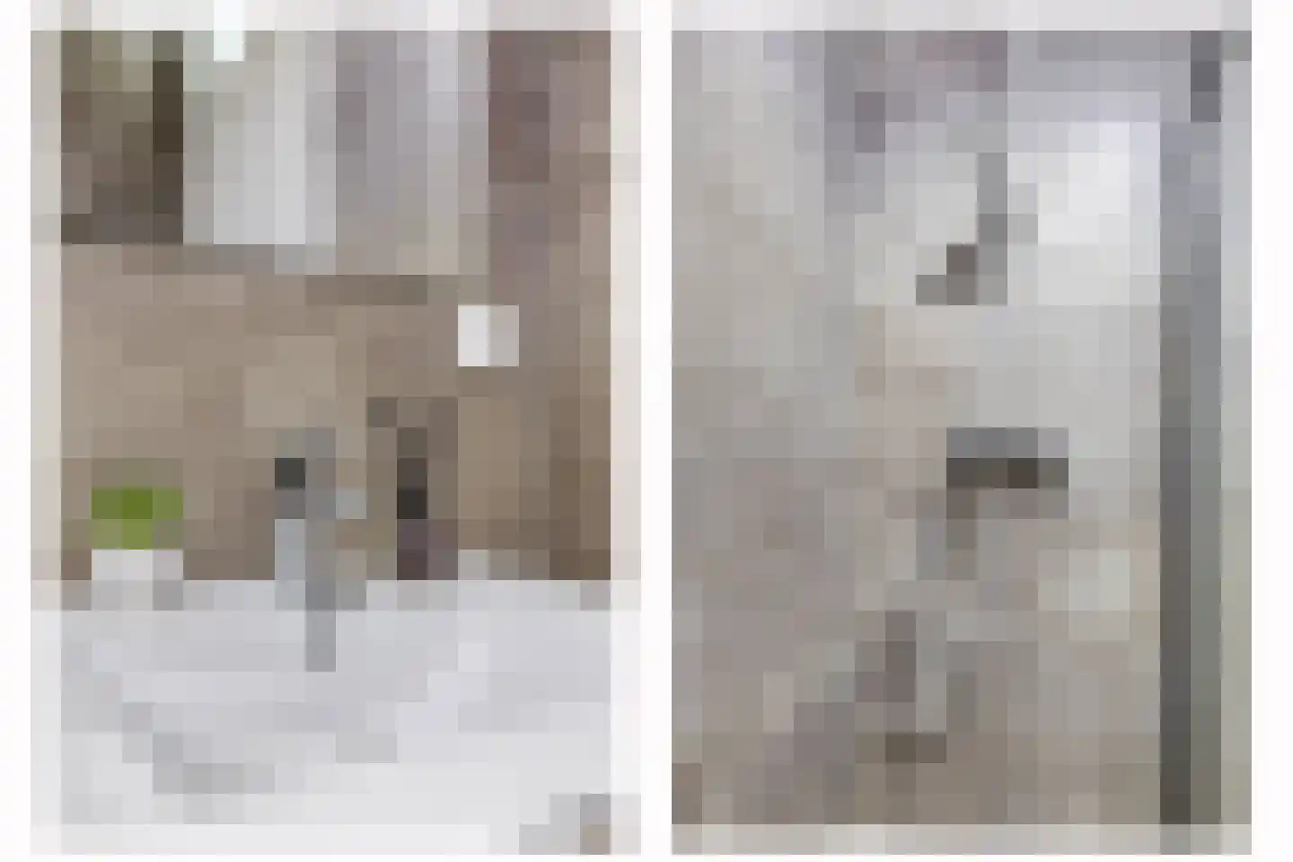 Windvaan 3 Moerkapelle thumbnail 23