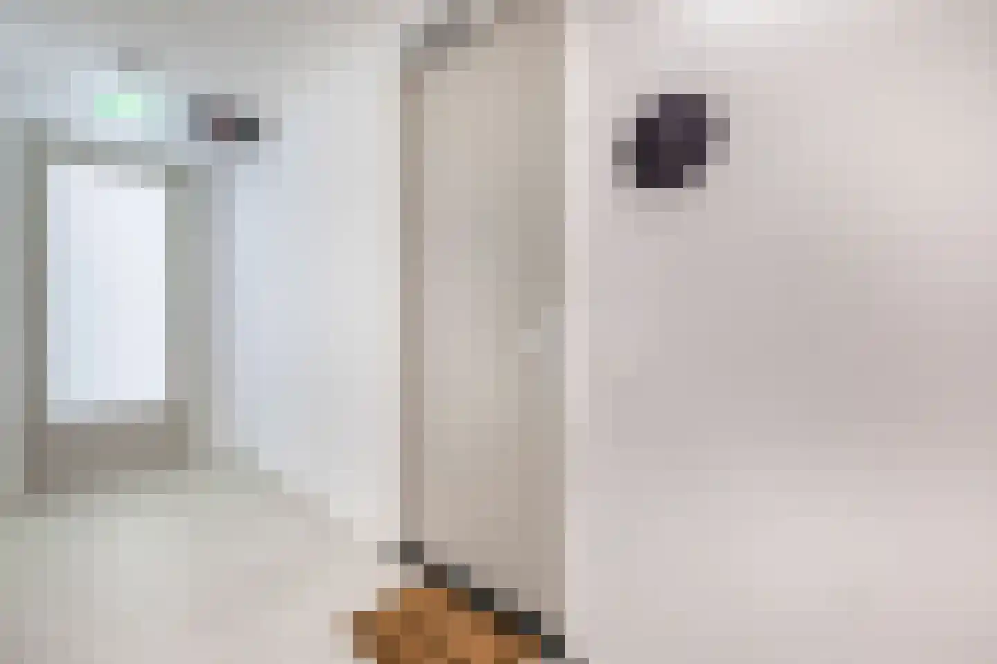 Windvaan 3 Moerkapelle thumbnail 8