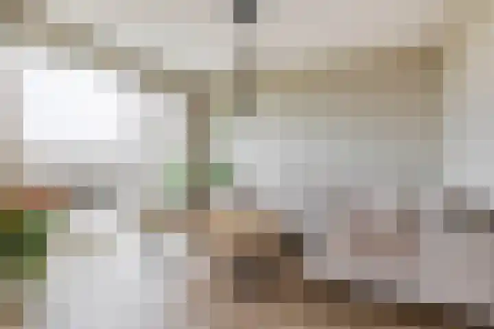 Windvaan 61 in Moerkapelle