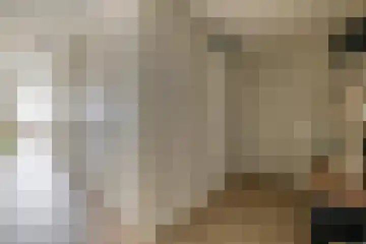 Windvaan 61 Moerkapelle thumbnail 10
