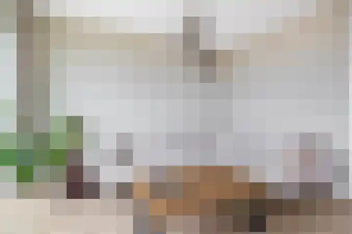 Windvaan 61 Moerkapelle thumbnail 11