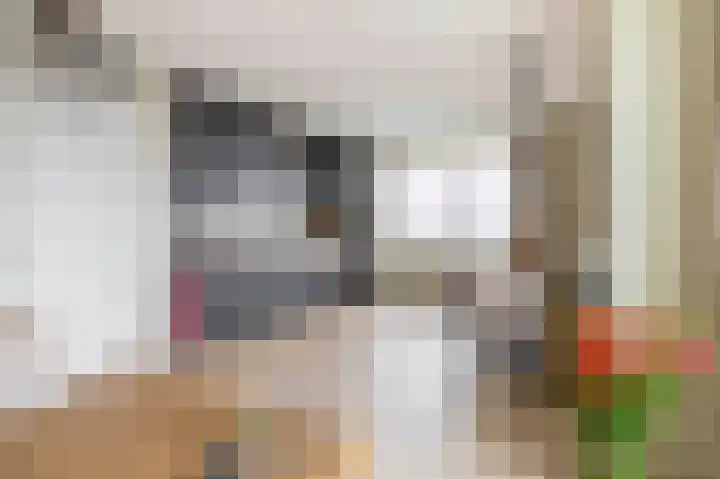 Windvaan 61 Moerkapelle thumbnail 12