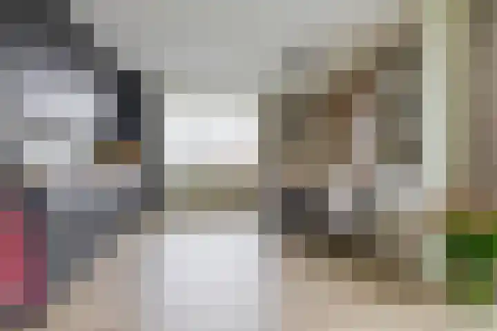 Windvaan 61 Moerkapelle thumbnail 13
