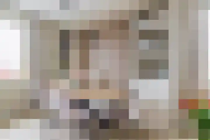 Windvaan 61 Moerkapelle thumbnail 15