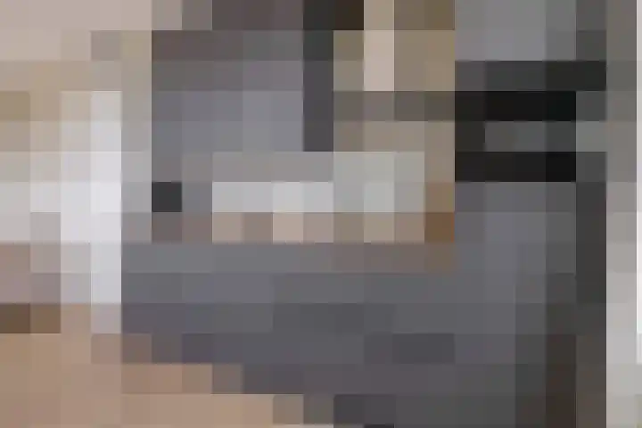 Windvaan 61 Moerkapelle thumbnail 17
