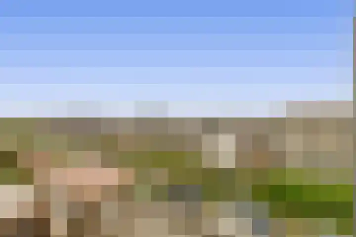 Windvaan 61 Moerkapelle thumbnail 20