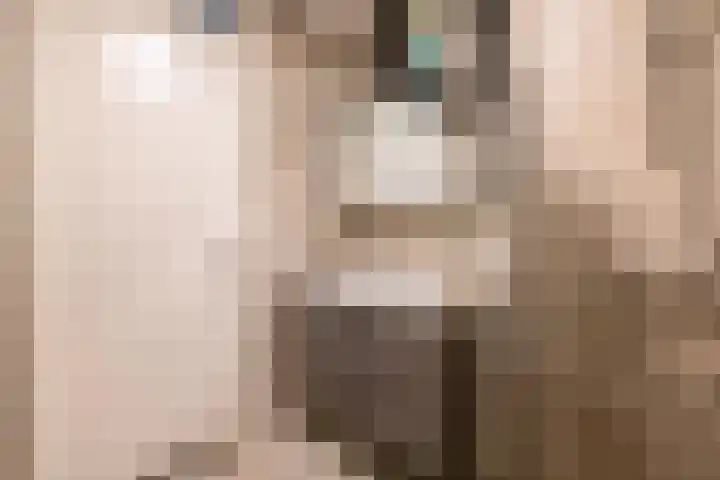 Windvaan 61 Moerkapelle thumbnail 25