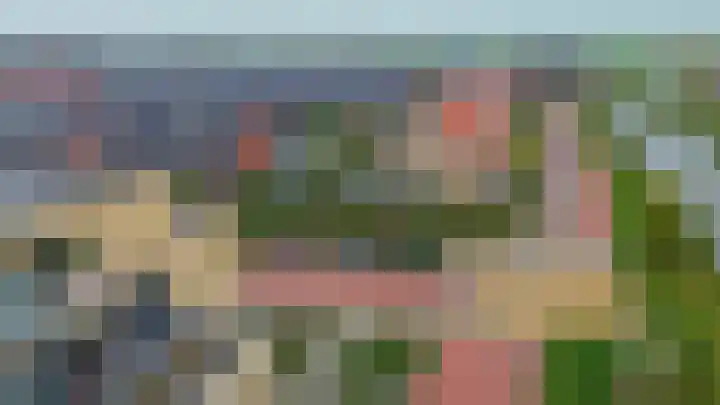 Windvaan 61 Moerkapelle thumbnail 30