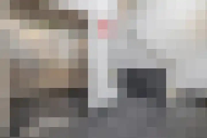 Windvaan 61 Moerkapelle thumbnail 7