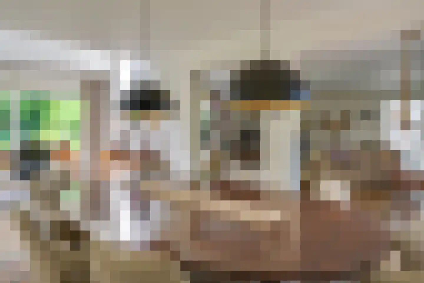 Windvang 1 A Mierlo thumbnail 13