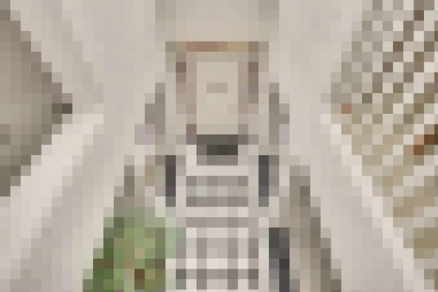 Windvang 1 A Mierlo thumbnail 20