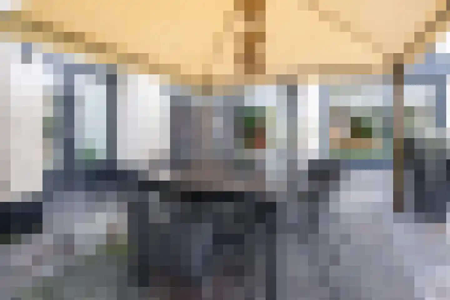 Windvang 1 A Mierlo thumbnail 45