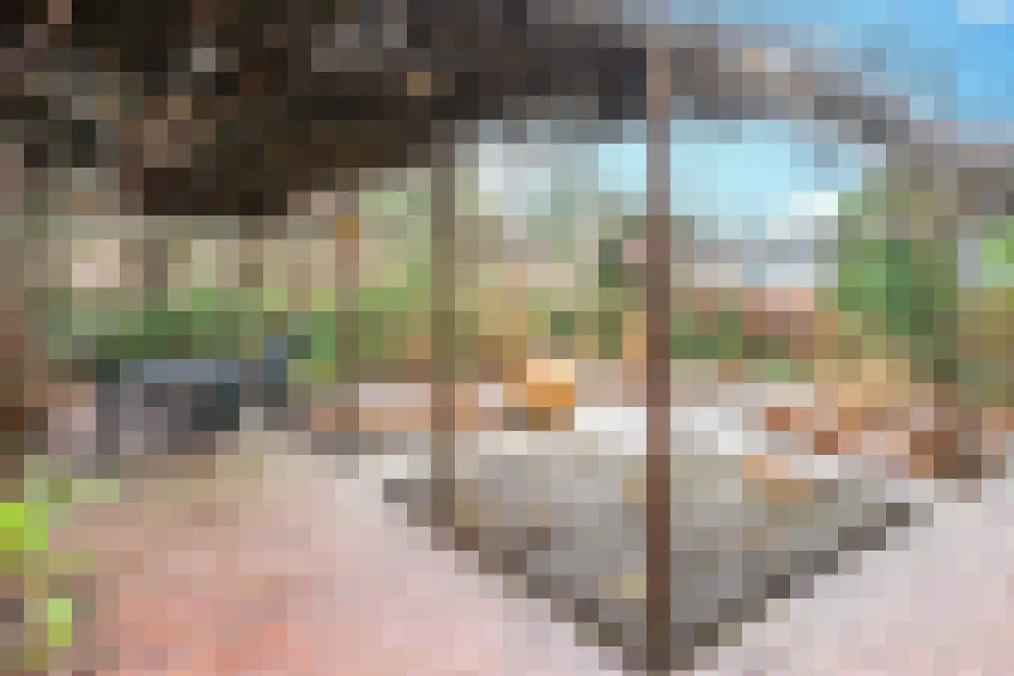 Windvang 1 A Mierlo thumbnail 50