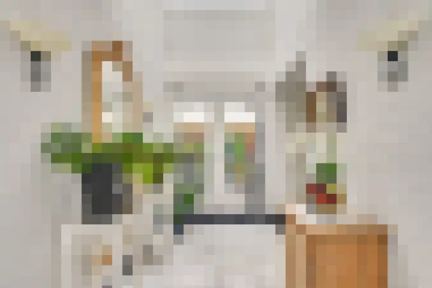 Windvang 1 A Mierlo thumbnail 6