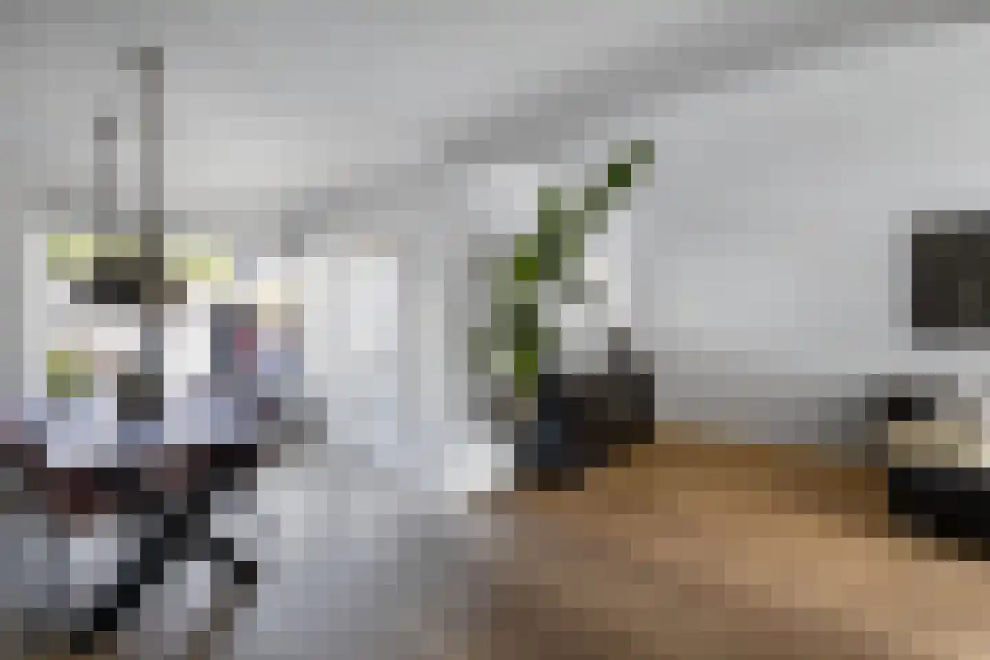 Windvang 11 Huizen thumbnail 10