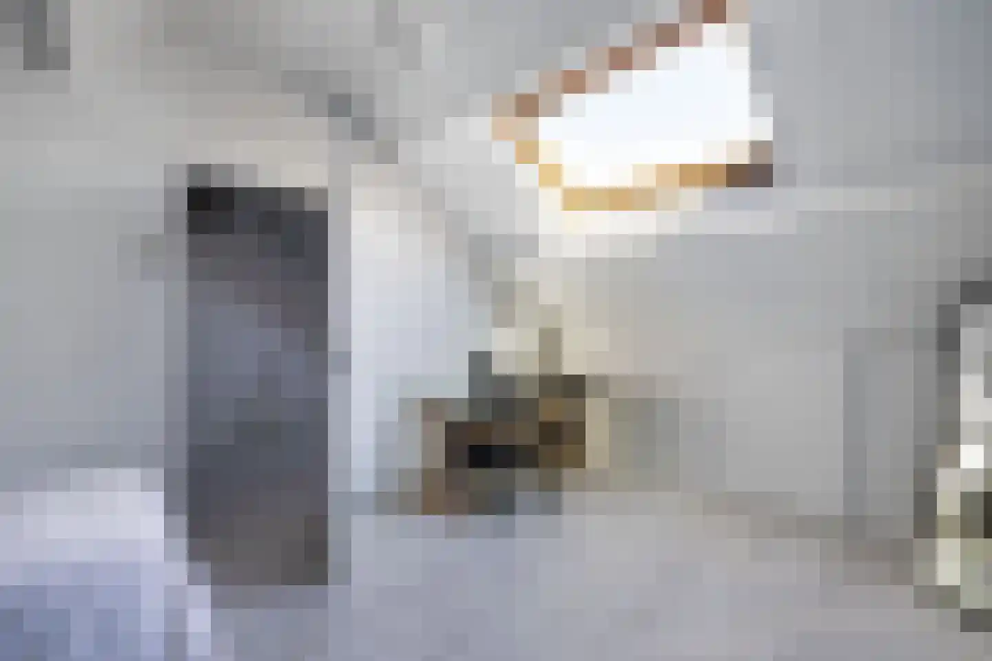 Windvang 11 Huizen thumbnail 25