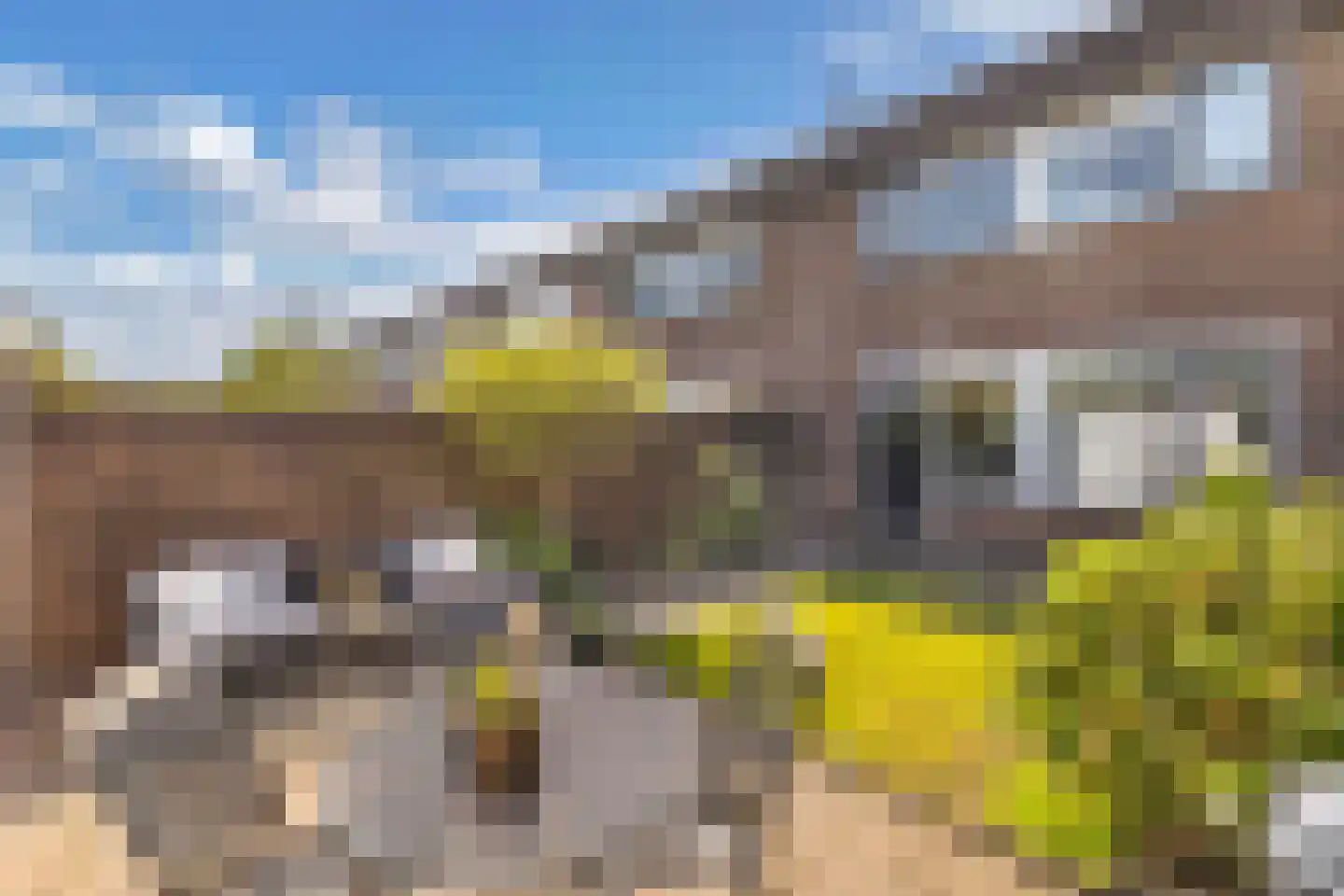 Windvang 11 Huizen thumbnail 28
