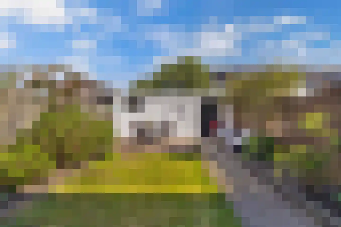 Windvang 11 Huizen thumbnail 30