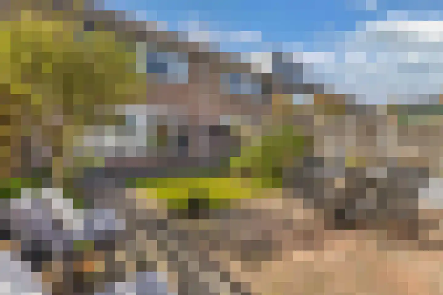 Windvang 11 Huizen thumbnail 31
