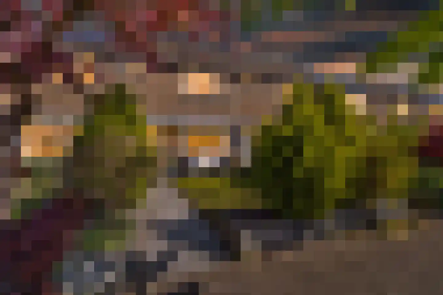 Windvang 11 Huizen thumbnail 32