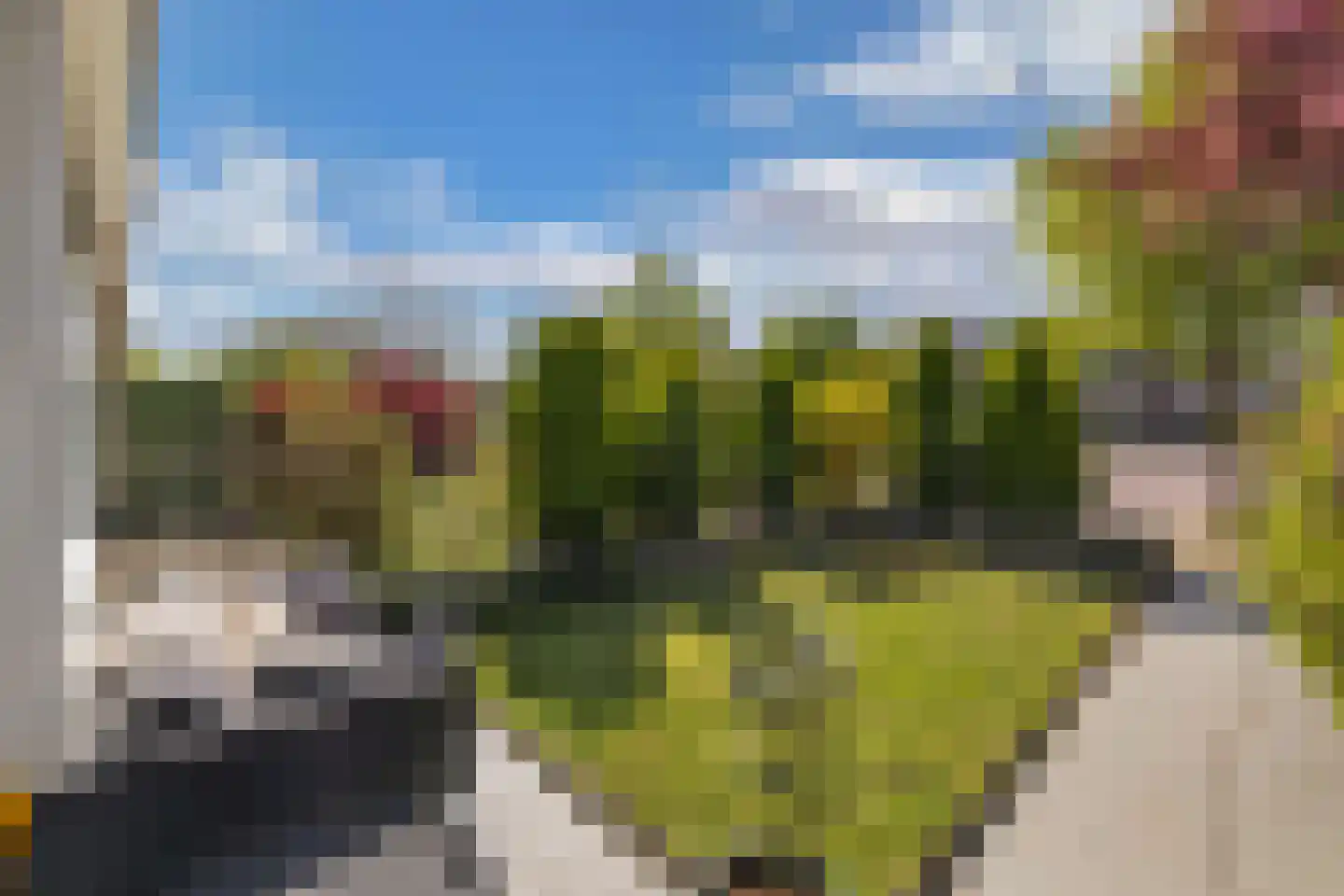 Windvang 11 Huizen thumbnail 34
