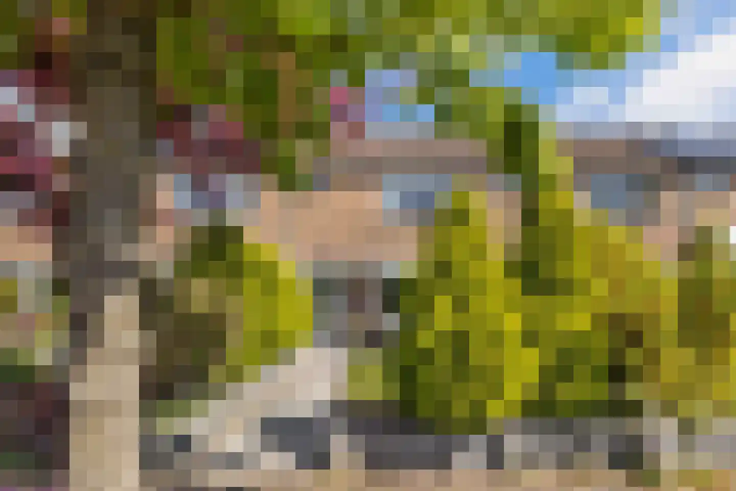 Windvang 11 Huizen thumbnail 35