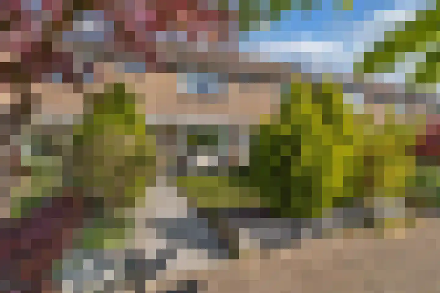 Windvang 11 Huizen thumbnail 4