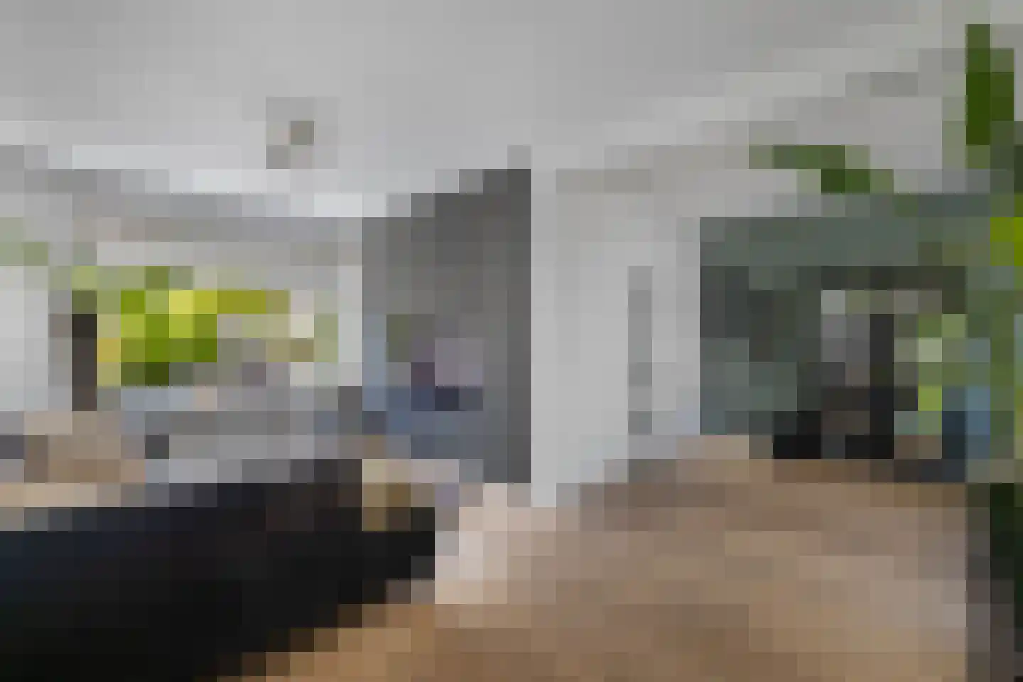 Windvang 11 Huizen thumbnail 6